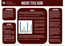 CEHD Research Presentation Poster Template 3
